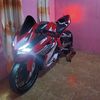 wongjember10