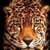 roldan.moreno6