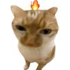 jirakit.kuankerd