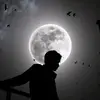 void_user_