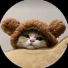 baonhu_1124