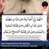 umi_farid