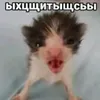 pubg_xuina