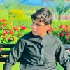 hamidafd33
