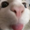 wtf_reneilwe