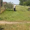 stelica.raileanu1