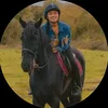 free_rein64