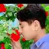 ahmad.ali02865