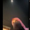niqabi_poddoja