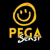 PegaSensi