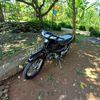 rm_tiger2