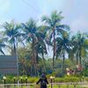 rahi.bhuiyan6