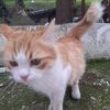 deniz.b68