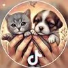 🐾🙏Resgate e Recomeço ❤️🐾
