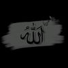 rashed.ahmed271