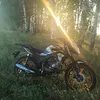 salavik4