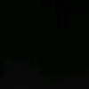 gailan.96x