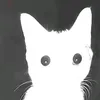 villi_qq