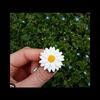 nurgl9437