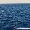 asra.rahmani8