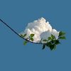 bristy.sharmin.ak