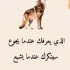 user5009277627558