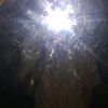 dannn8097