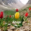 mohamad75449