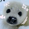 _tylenchik_01