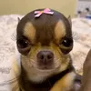 _lenciaqq_