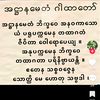 chit.sein584