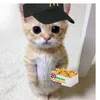 agentjoel2