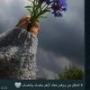 user681612718426