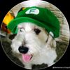 bruno_humanoide