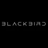 blackbird.vp