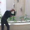 aminechrok