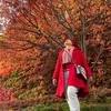 Japón del Alma