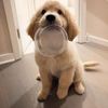 wyatt_lazy