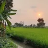 thien.nhien168