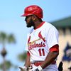depressed.cardinalsfan