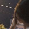 jocelyn.mf8