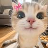 nnluve3