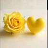 user21810302554535