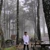 aripin7146