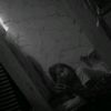 camila.magallanes3