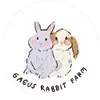 gagus.rabbit