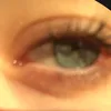 poppy_xx44