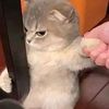 zaki_s065