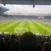 fin_w79