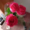 user2883030703719
